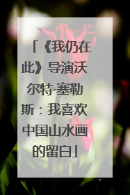 《我仍在此》导演沃尔特·塞勒斯：我喜欢中国山水画的留白