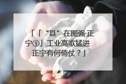 「“县”在图强·正宁①」工业高歌猛进 正宁有何倚仗？