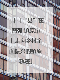 「“县”在图强·镇原③」走向乡村全面振兴的镇原轨迹