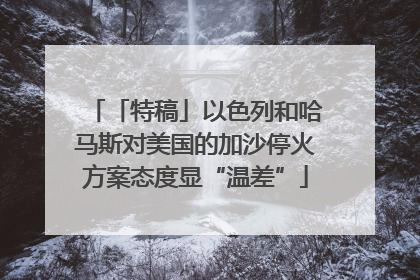 「特稿」以色列和哈马斯对美国的加沙停火方案态度显“温差”