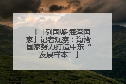 「列国鉴·海湾国家」记者观察：海湾国家努力打造中东“发展样本”