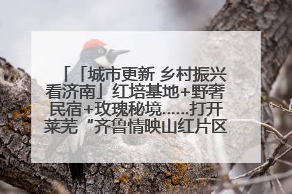 「城市更新 乡村振兴看济南」红培基地+野奢民宿+玫瑰秘境……打开莱芜“齐鲁情映山红片区”的破圈秘籍