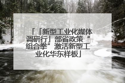 「新型工业化媒体调研行」部省政策“组合拳”激活新型工业化华东样板