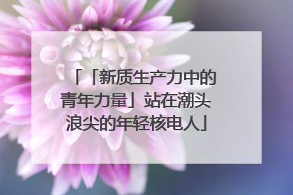 「新质生产力中的青年力量」站在潮头浪尖的年轻核电人