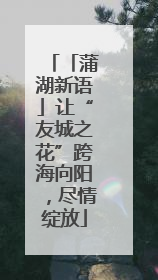 「蒲湖新语」让“友城之花”跨海向阳，尽情绽放