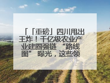 「重磅」四川甩出王炸！千亿级农业产业建圈强链 “路线图” 曝光，这些领域要火！