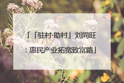 「驻村·助村」刘同旺：惠民产业拓宽致富路