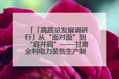「高质量发展调研行」从“面对面”到“肩并肩”——甘肃全利电力装备生产制造项目一线见闻