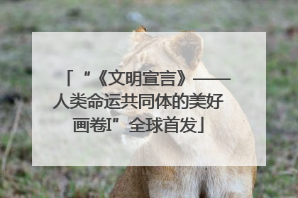 “《文明宣言》——人类命运共同体的美好画卷I”全球首发