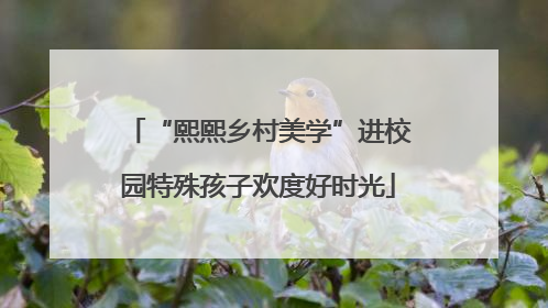 “熙熙乡村美学”进校园特殊孩子欢度好时光