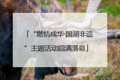 “燃情成华·国潮非遗”主题活动圆满落幕