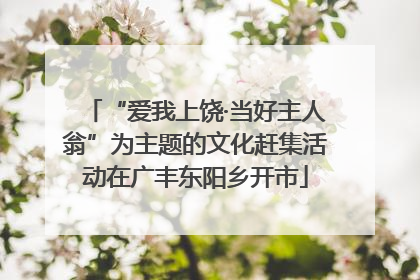 “爱我上饶·当好主人翁”为主题的文化赶集活动在广丰东阳乡开市