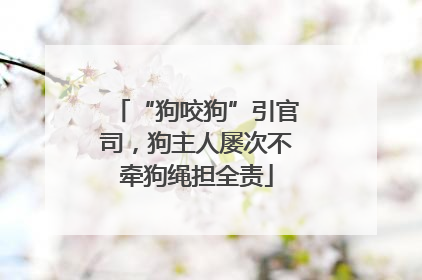 “狗咬狗”引官司，狗主人屡次不牵狗绳担全责