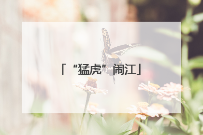 “猛虎”闹江