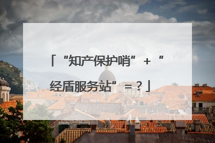 “知产保护哨”+“经盾服务站”=？