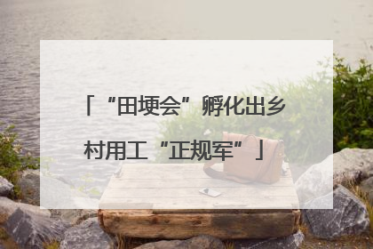 “田埂会”孵化出乡村用工“正规军”