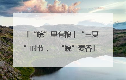 “皖”里有粮｜“三夏”时节，一“皖”麦香