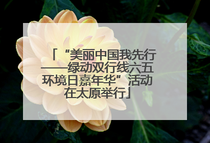 “美丽中国我先行——绿动双行线六五环境日嘉年华”活动在太原举行