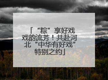 “粽”享好戏 戏韵流芳！共赴河北“中华有好戏”特别之约
