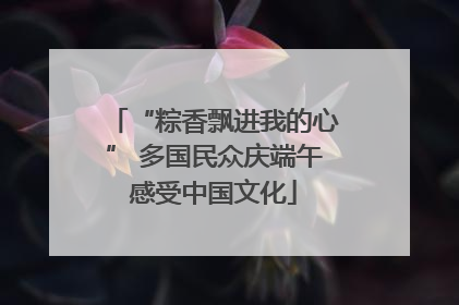 “粽香飘进我的心” 多国民众庆端午感受中国文化