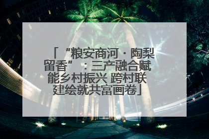 “粮安商河・陶梨留香”：三产融合赋能乡村振兴 跨村联建绘就共富画卷