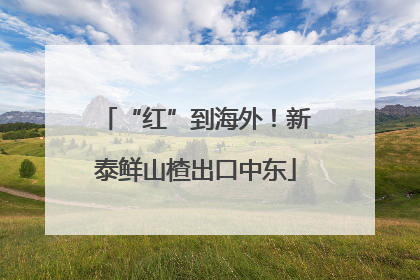 “红”到海外！新泰鲜山楂出口中东