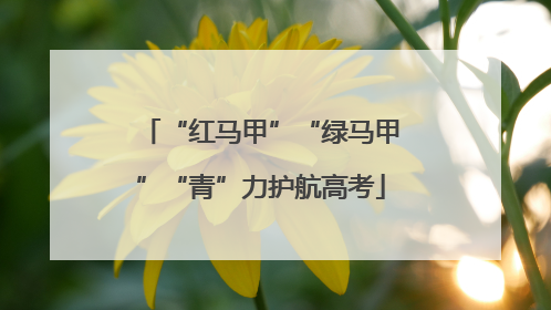 “红马甲”“绿马甲”“青”力护航高考