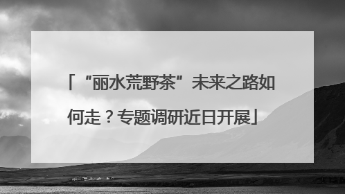 “丽水荒野茶”未来之路如何走？专题调研近日开展