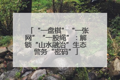 “一盘棋”“一张网”“一股绳”：解锁“山水融治”生态警务“密码”