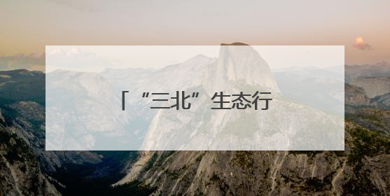 “三北”生态行：“以工代赈”让农牧民由治沙“看客”变“主角”