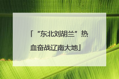 “东北刘胡兰”热血奋战辽南大地