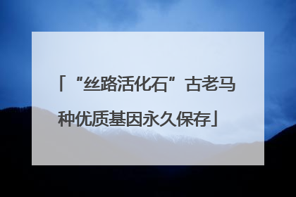 “丝路活化石”古老马种优质基因永久保存