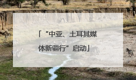 “中亚、土耳其媒体新疆行”启动