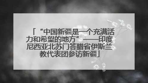 “中国新疆是一个充满活力和希望的地方”——印度尼西亚北苏门答腊省伊斯兰教代表团参访新疆