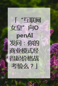“互联网女皇”向OpenAI发问：你的商业模式经得起价格战考验么？