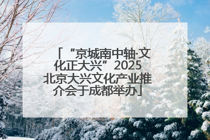 “京城南中轴·文化正大兴”2025北京大兴文化产业推介会于成都举办