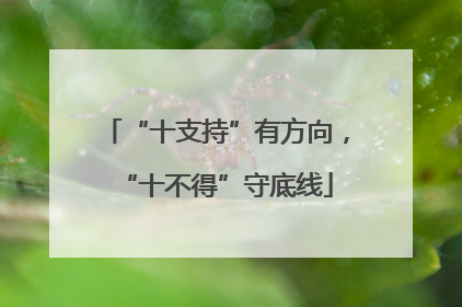 “十支持”有方向，“十不得”守底线