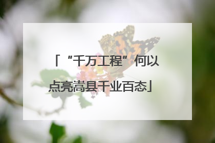 “千万工程”何以点亮嵩县千业百态