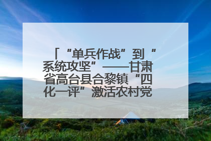 “单兵作战”到“系统攻坚”——甘肃省高台县合黎镇“四化一评”激活农村党员管理新引擎