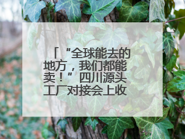 “全球能去的地方，我们都能卖！”四川源头工厂对接会上收获海量意向