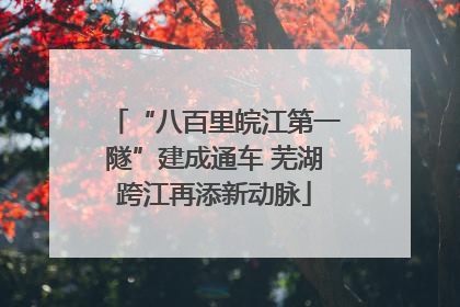 “八百里皖江第一隧”建成通车 芜湖跨江再添新动脉