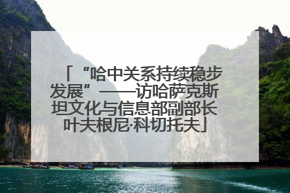 “哈中关系持续稳步发展”——访哈萨克斯坦文化与信息部副部长叶夫根尼·科切托夫