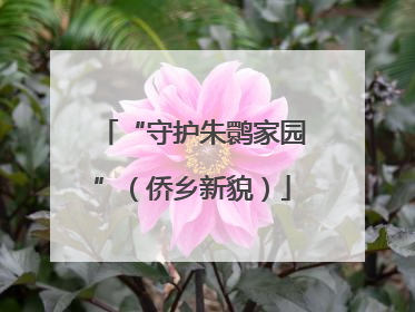 “守护朱鹮家园”（侨乡新貌）
