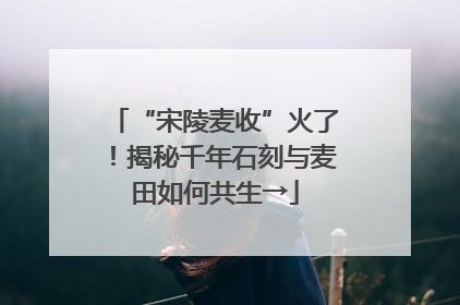“宋陵麦收”火了！揭秘千年石刻与麦田如何共生→