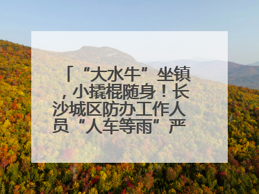 “大水牛”坐镇，小撬棍随身！长沙城区防办工作人员“人车等雨”严阵以待