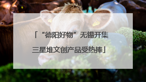 “德阳好物”无锡开集 三星堆文创产品受热捧