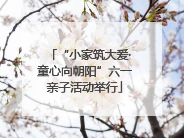 “小家筑大爱·童心向朝阳”六一亲子活动举行