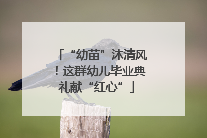 “幼苗”沐清风！这群幼儿毕业典礼献“红心”