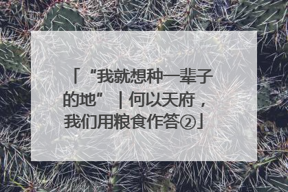 “我就想种一辈子的地”｜何以天府，我们用粮食作答②