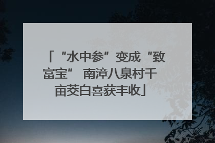 “水中参”变成“致富宝” 南漳八泉村千亩茭白喜获丰收